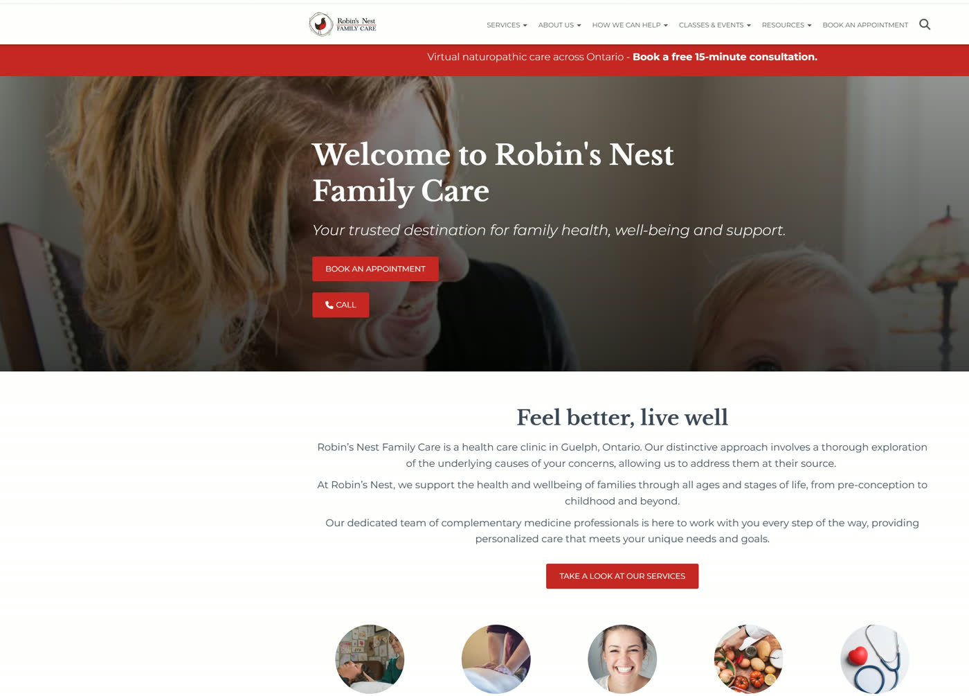 The Robin's Nest Family Care website before the rebuild